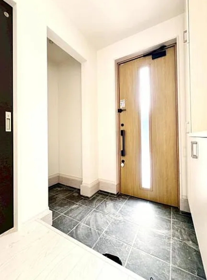 相模原市南区麻溝台8丁目の新築戸建て2の玄関の写真