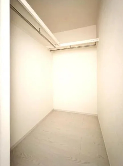 相模原市南区麻溝台8丁目の新築戸建て2のウォークインクローゼットの写真