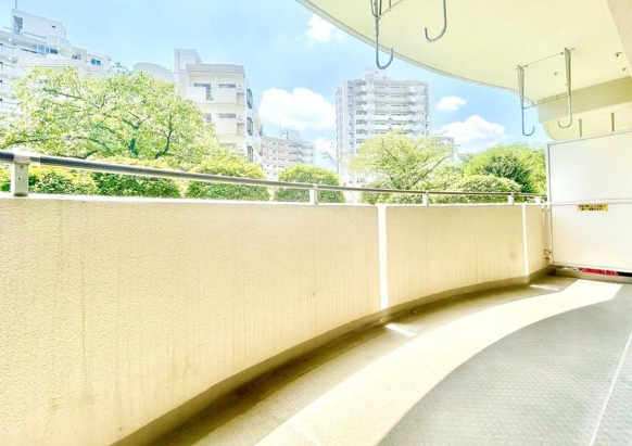 相模原市南区相模大野6丁目の中古マンションのバルコニーの写真