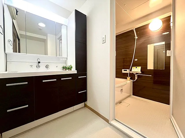 町田市忠生2丁目の中古マンション5階部分の洗面化粧台の写真