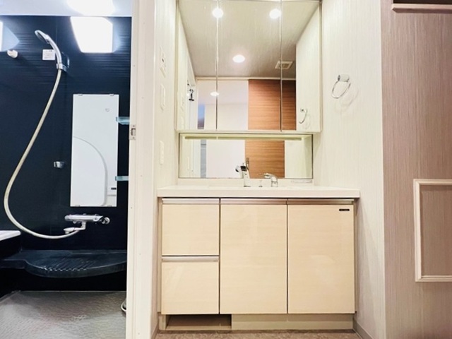 相模原市中央区上溝の中古マンション9階部分の洗面化粧台の写真