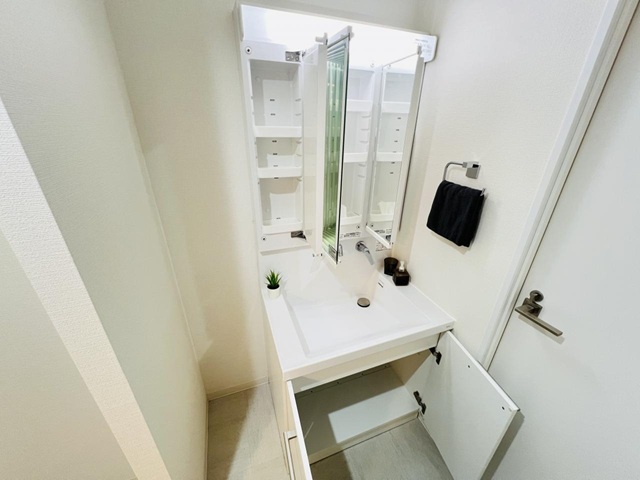 相模原市中央区南橋本1丁目の中古マンション10階部分の洗面化粧台の写真