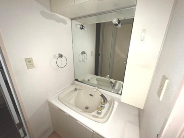 相模原市南区東林間3丁目の中古マンション4階部分の洗面化粧台の写真