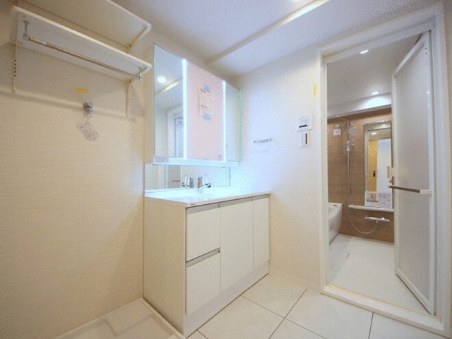 相模原市南区上鶴間本町3丁目の中古マンション5階部分の洗面化粧台の写真