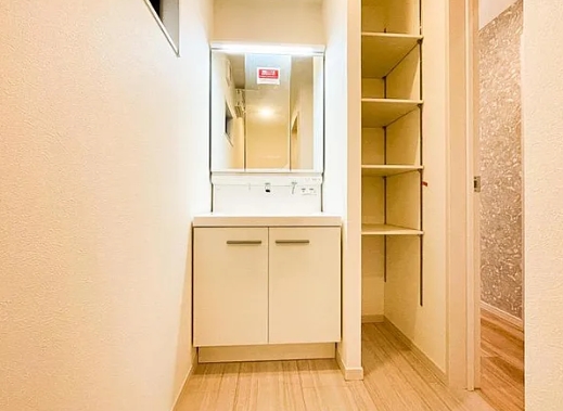 相模原市南区南台4丁目の新築戸建て2号棟の洗面化粧台の写真