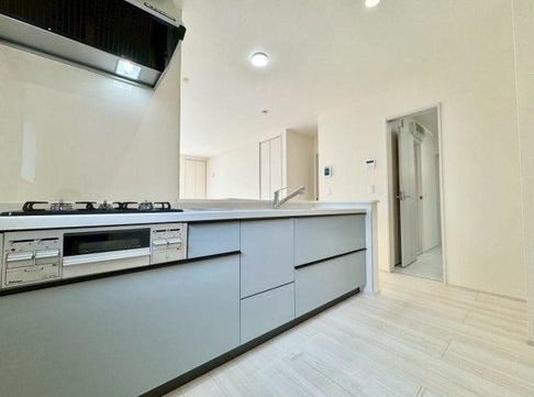八王子市泉町の新築戸建てのキッチンの写真