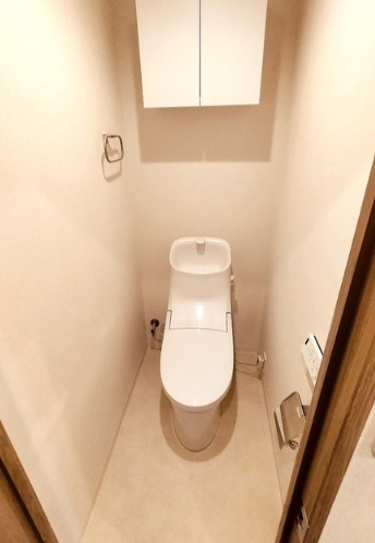 相模原市中央区共和1丁目の中古マンションのトイレの写真