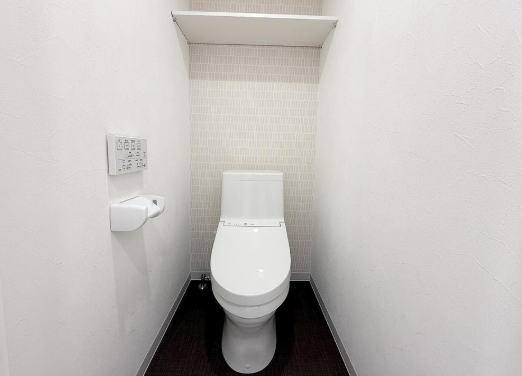 相模原市中央区相模原2丁目の中古マンションのトイレの写真