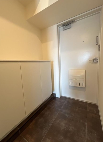 相模原市中央区矢部1丁目の中古マンションの玄関の写真