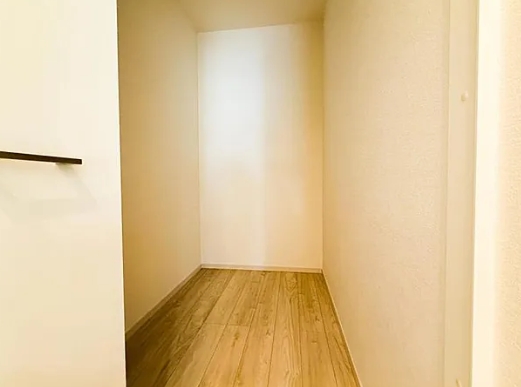 相模原市南区東林間7丁目の新築戸建て2号棟のウォークインクローゼットの写真