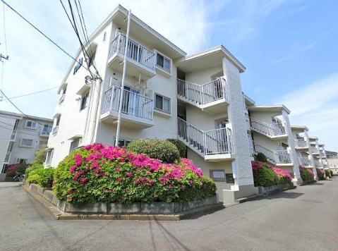 相模原市南区西大沼1丁目の中古マンションの外観の写真