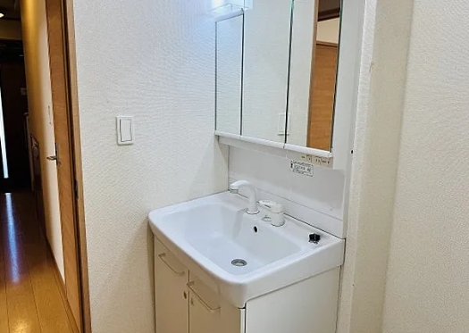 八王子市館町の中古戸建ての洗面化粧台の写真