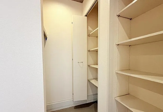 相模原市中央区陽光台1丁目の新築戸建てのシューズインクローゼットの写真