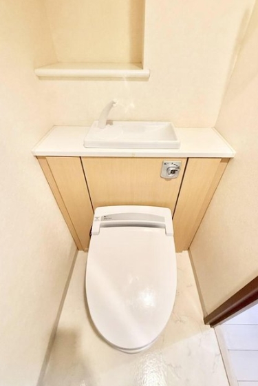 相模原市中央区相模原1丁目中古マンションのトイレの写真